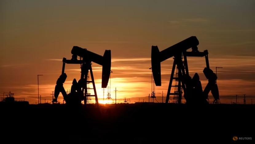 Thị trường dầu có thể biến động mạnh sau khi Nga tiếp tục cắt giảm sản lượng

 - Ảnh 1.