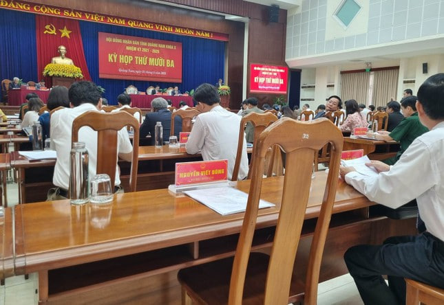 Quảng Nam cho thôi nhiệm vụ đại biểu HĐND đối với ông Nguyễn Viết Dũng - Ảnh 2.