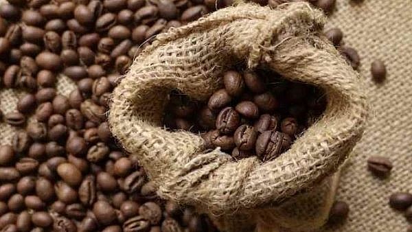 Sản lượng cà phê toàn cầu thâm hụt, giá cà phê được dự báo tăng - Ảnh 1.