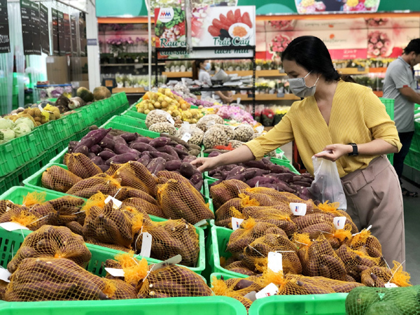 70 vùng trồng khoai lang Việt Nam được xuất khẩu chính ngạch sang Trung Quốc - Ảnh 1.