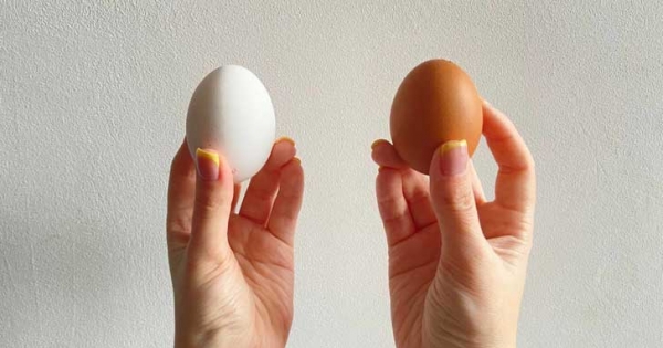 Bối rối sắc màu vỏ quả trứng gà: nâu tốt hay trắng tốt?  - Ảnh 1.