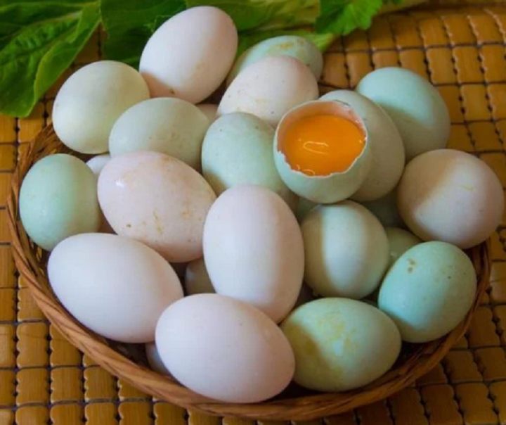 Mua trứng vịt nên chọn quả vỏ trắng hay vỏ xanh là bổ nhất? - Ảnh 1.