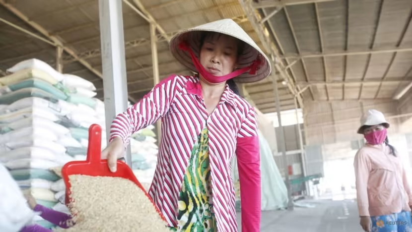 Việt Nam giảm xuất khẩu gạo còn khoảng 4 triệu tấn vào năm 2030 - Ảnh 2.
