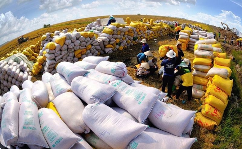 Việt Nam giảm xuất khẩu gạo còn khoảng 4 triệu tấn vào năm 2030 - Ảnh 1.
