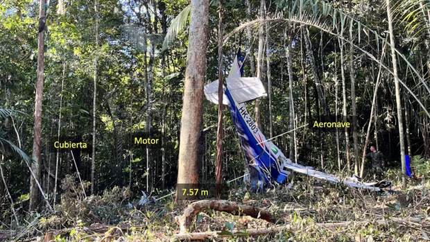 Hành trình sống sót kỳ diệu của 4 đứa trẻ trong rừng Amazon sau khi máy bay rơi - Ảnh 2.