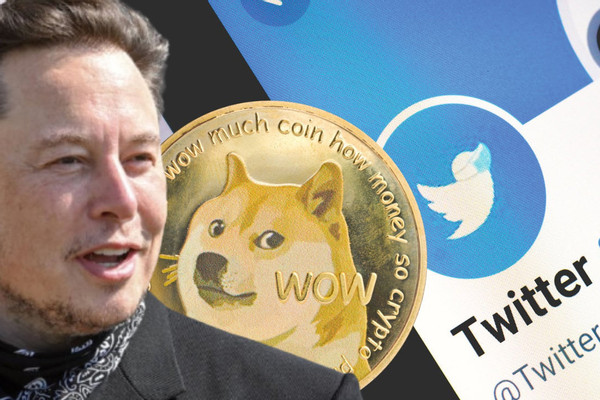Top 3 Meme coin trở thành ngôi sao tiền điện tử 2023 - Ảnh 1.
