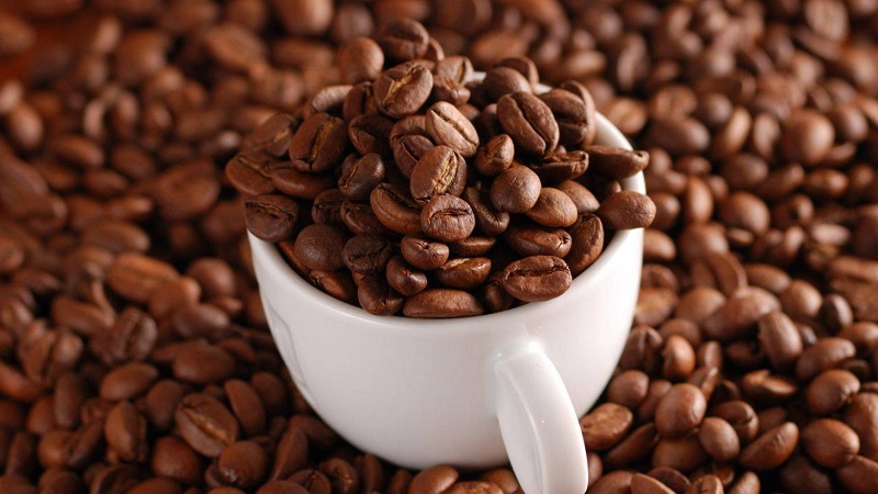 Giá cà phê robusta tiếp tục được dự báo tăng - Ảnh 1.