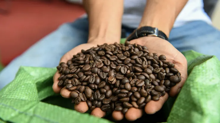 El Nino sẽ khiến giá cà phê robusta Việt Nam và  Indonesia tiếp tục tăng cao - Ảnh 2.