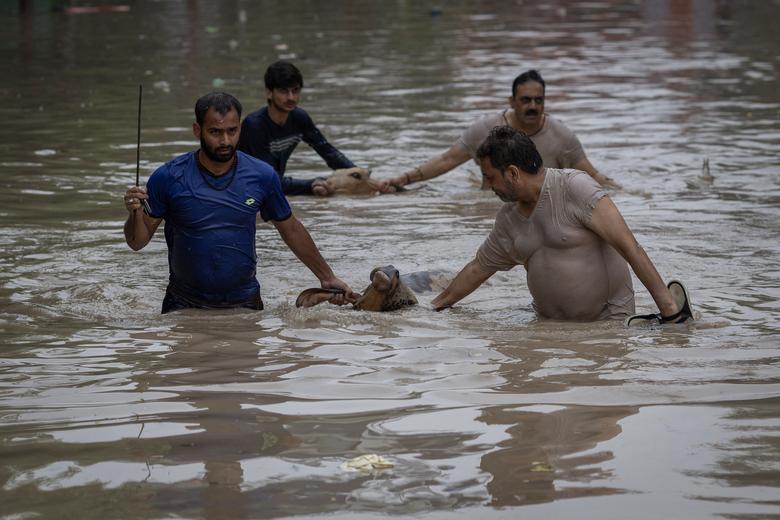 Nước lũ khiến Delhi bế tắc - Ảnh 12.