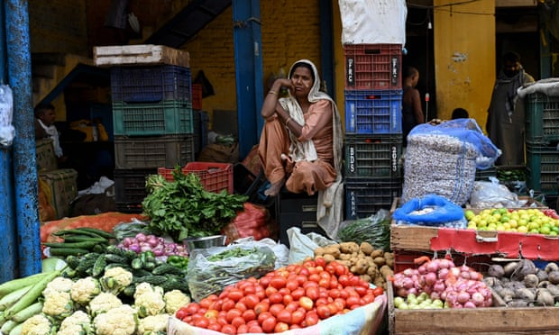 Giá cà chua tăng 700% tạo ra vận may cho nông dân Ấn Độ - Ảnh 1.