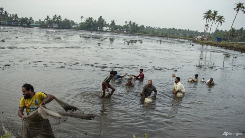 An ninh lương thực của Ấn Độ đang bị bóp nghẹt bởi biến đổi khí hậu - Ảnh 4.