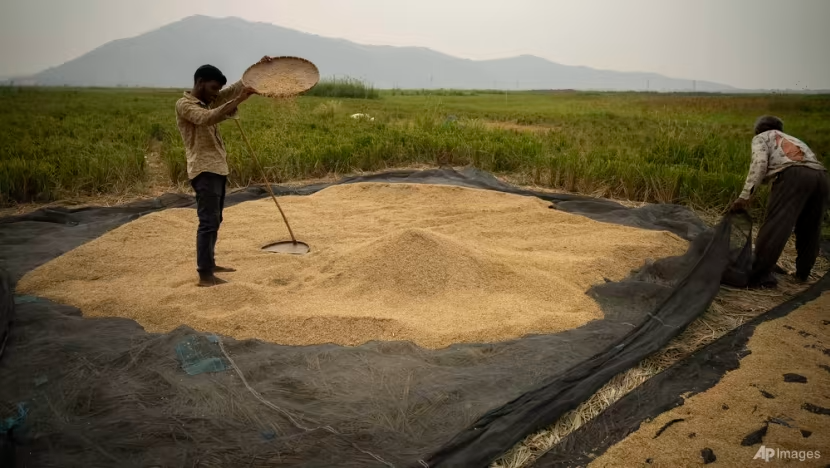 Lệnh cấm xuất khẩu gạo của Ấn Độ sẽ làm tổn hại đến tuyên bố dẫn đầu Nam bán cầu? - Ảnh 1.