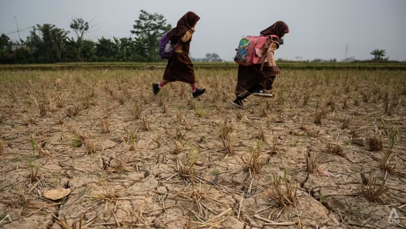 El Nino khiến tình trạng hạn hán, thiếu nước ngày càng khốc liệt tại Indonesia - Ảnh 1.