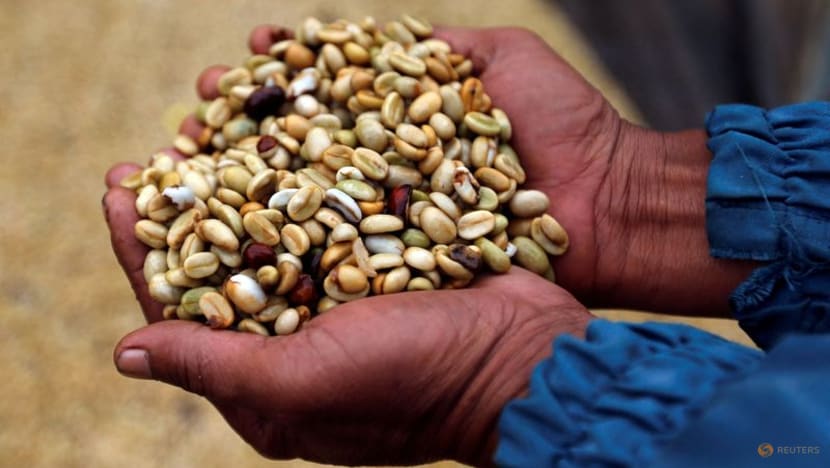 Từ mưa nhiều đến khô hạn, cà phê Indonesia đối mặt với El Nino cực đoan - Ảnh 1.