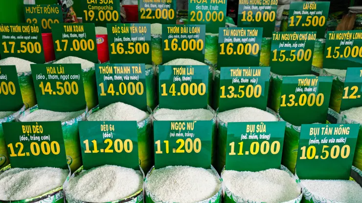 Giá gạo tăng vọt, an ninh lương thực toàn cầu ngày càng nghiêm trọng - Ảnh 1.