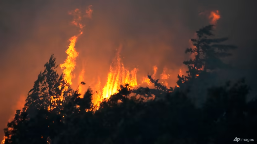 Khi cháy rừng gia tăng, kỷ nguyên ô nhiễm không khí mới - Ảnh 2.