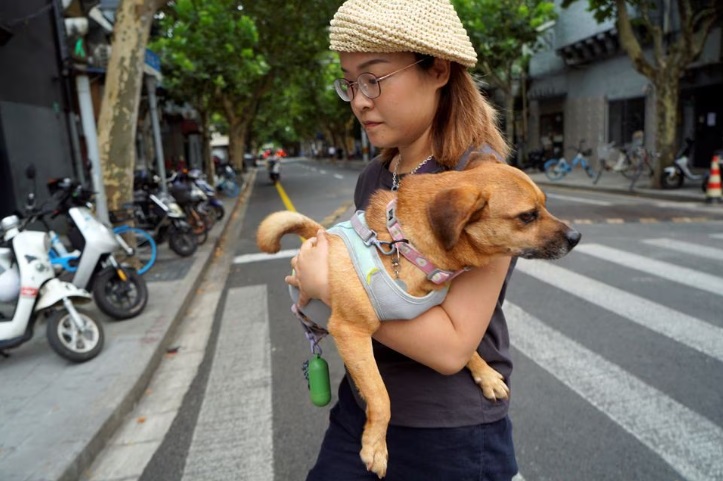 Người Trung Quốc tìm cách bảo vệ thú cưng trước nắng nóng thiêu đốt - Ảnh 1.