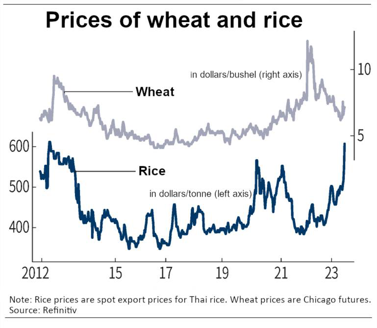 Giá gạo đạt mức cao nhất trong 11 năm do các lệnh cấm xuất khẩu  - Ảnh 1.