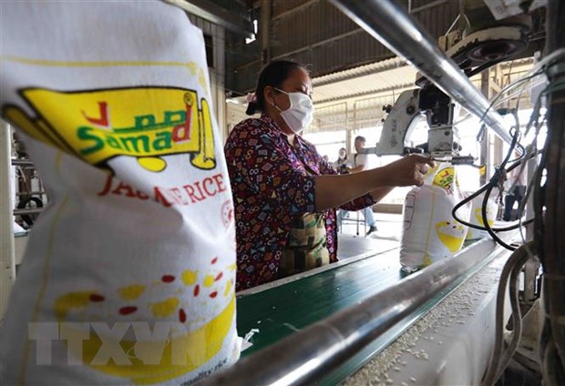 Giá gạo 5% tấm của Việt Nam giảm xuống mức thấp nhất trong một tháng - Ảnh 2.
