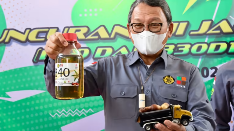 Indonesia, Malaysia thúc đẩy nhiên liệu sinh học để bù đắp sự suy giảm giá dầu cọ - Ảnh 3.