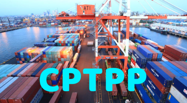 Thêm 3 nước được áp thuế xuất nhập khẩu ưu đãi theo Hiệp định CPTPP - Ảnh 1.