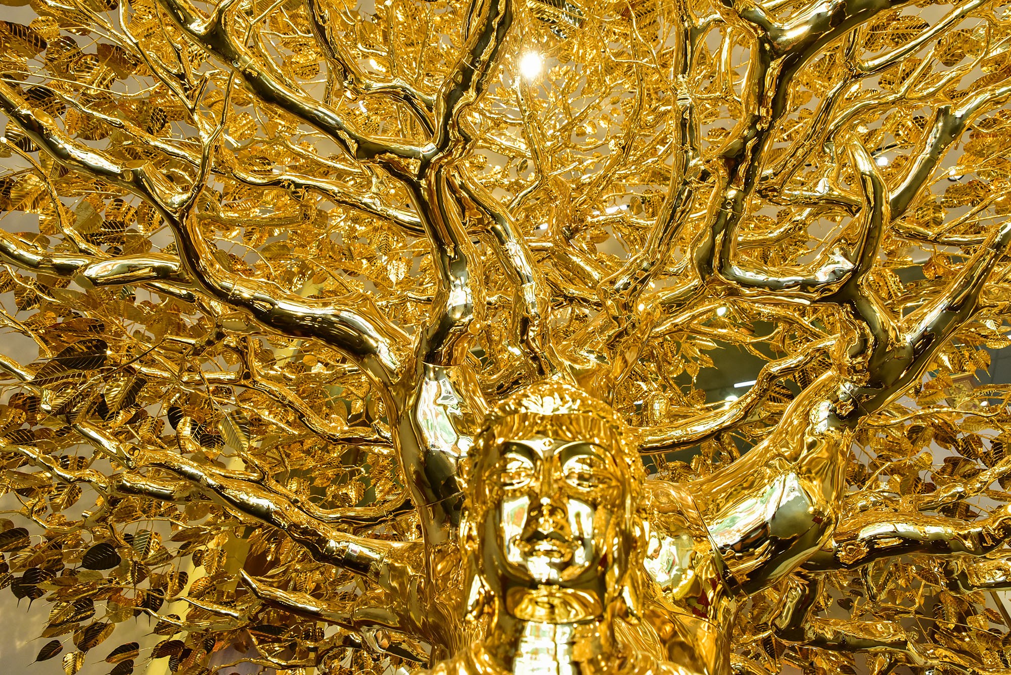 Chiêm ngưỡng cây bồ đề mạ vàng, nặng hơn 1 tấn trị giá 26 tỷ đồng ở TP.HCM- Ảnh 3.