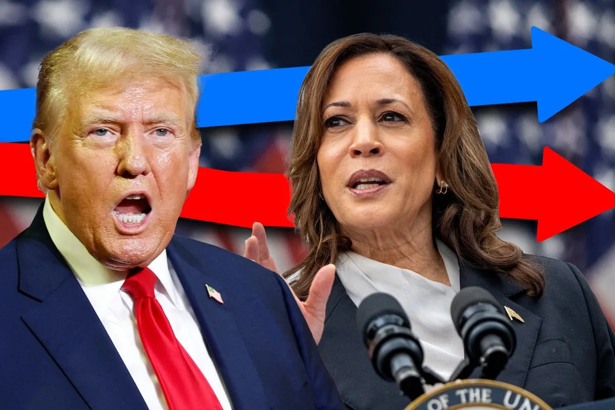 Đây là những gì sẽ xảy ra với thị trường chứng khoán nếu Kamala Harris thắng cử- Ảnh 2.