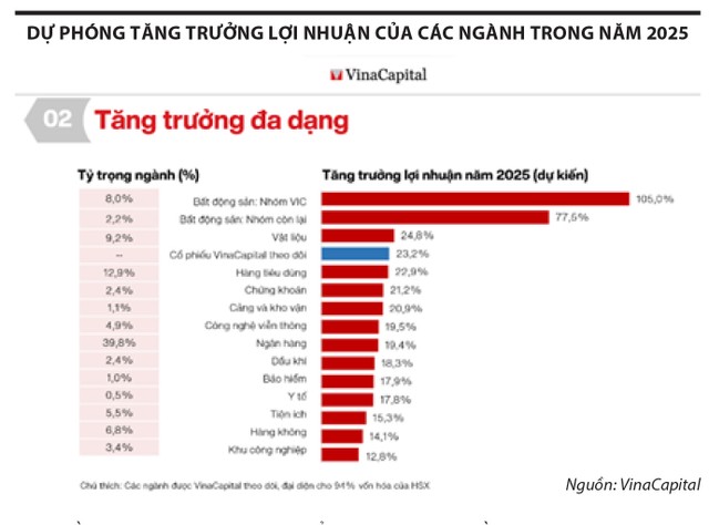 Mùa báo cáo kinh doanh phân hóa, chiến lược đầu tư nào cho giai đoạn mới?- Ảnh 1.