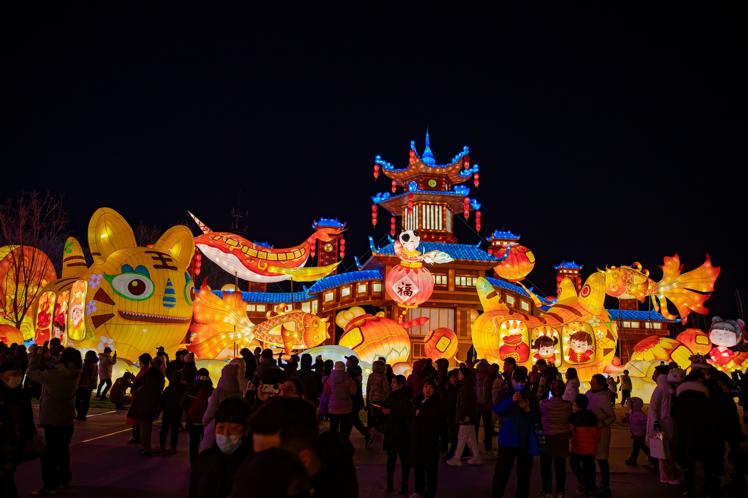 Lễ hội đèn lồng rực rỡ ở Trung Quốc- Ảnh 5.