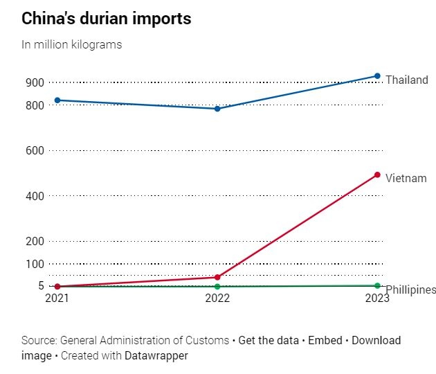 Xuất khẩu sầu riêng sang Trung Quốc ngày càng khốc liệt, liệu Philippines, Malaysia có cơ hội?- Ảnh 2.