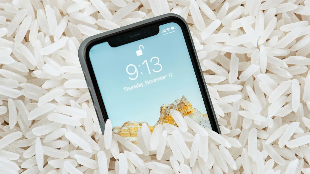 Apple cảnh báo: Đừng bỏ iPhone vào gạo nếu bị ướt- Ảnh 1.