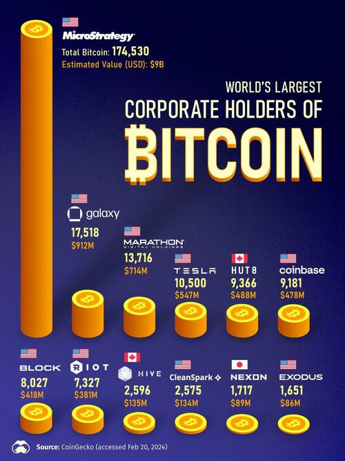 Cá voi Bitcoin mới xuất hiện trong thế giới doanh nghiệp- Ảnh 1.