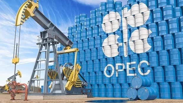 Các báo cáo thách thức chính của OPEC dự đoán nhu cầu dầu sẽ giảm- Ảnh 1.