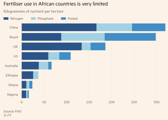 Liệu châu Phi sẽ là 'cái nôi mới' của lương thực thế giới?- Ảnh 2.
