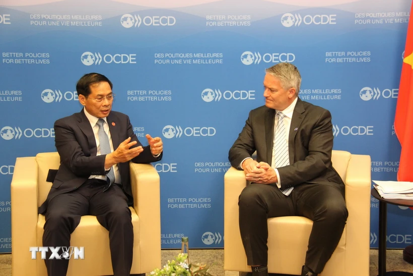 OECD đánh giá cao Việt Nam trong vai trò Đồng Chủ trì Chương trình Đông Nam Á- Ảnh 1.