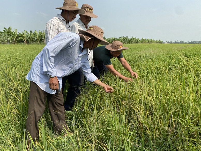 Nông sản Việt với sức bật của tư duy đa giá trị, đa ngành- Ảnh 1.