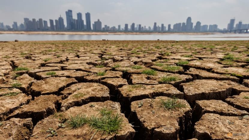 Trung Quốc bị ảnh hưởng bởi nhiệt độ cao kỷ lục, châu Á chuẩn bị cho mùa hè khắc nghiệt- Ảnh 1.