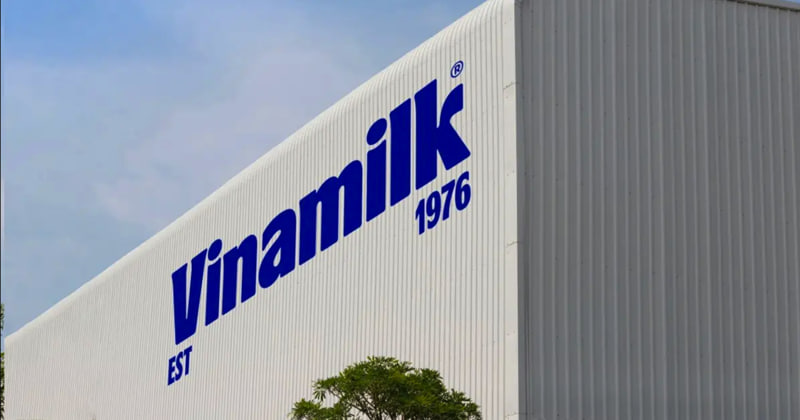 Vinamilk - Doanh nghiệp duy nhất của ngành sữa Việt Nam trong danh sách Fortune 500 Đông Nam Á- Ảnh 1.