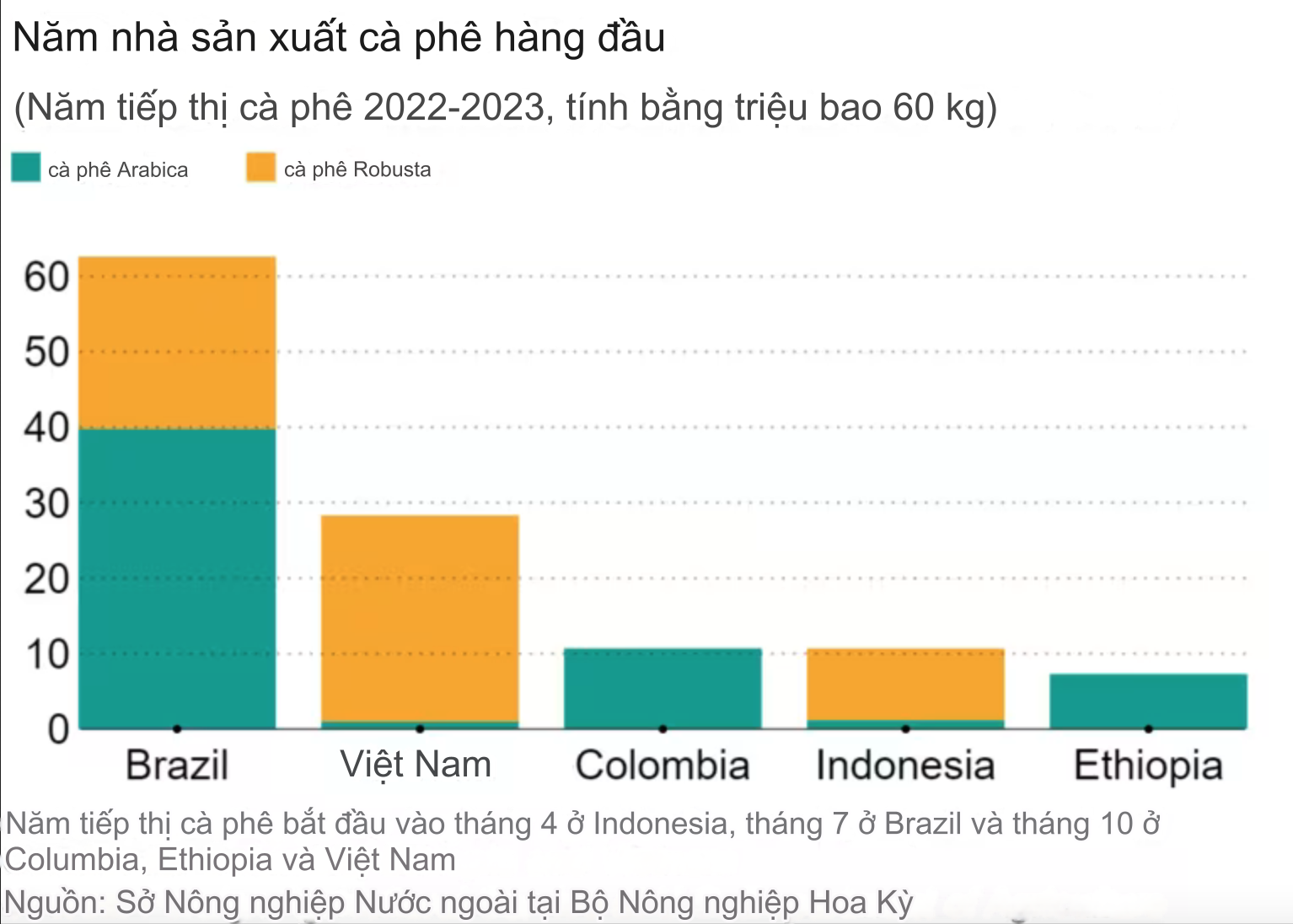 Giá cà phê biến động do khí hậu, vận chuyển khó khăn, quy định về rừng- Ảnh 3.