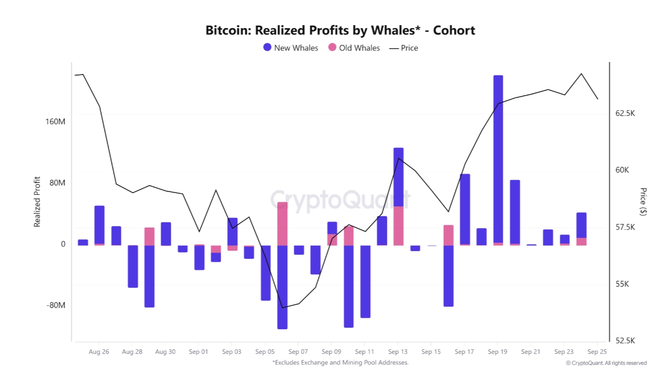 5 điều cần biết về Bitcoin tuần này: Mức cao nhất mọi thời đại mới trong 'Uptober?'- Ảnh 9.