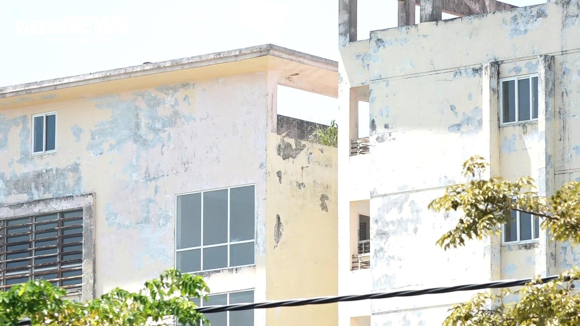 Cận cảnh 2 dự án đào tạo cán bộ, nhân lực ngân hàng trăm tỷ bỏ hoang ở Huế- Ảnh 11. Cận cảnh 2 dự án đào tạo cán bộ, nhân lực ngân hàng trăm tỷ bỏ hoang ở Huế- Ảnh 11.