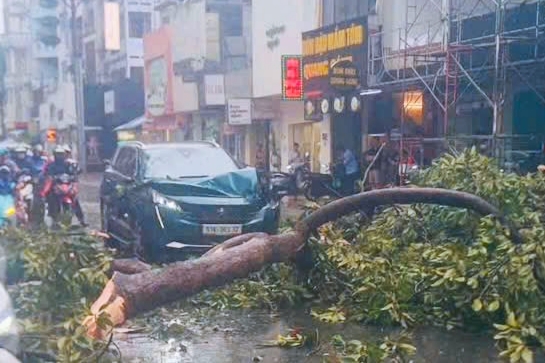 Cây xanh ở TP.HCM đổ hàng loạt do mưa lớn kèm gió giật mạnh- Ảnh 2.