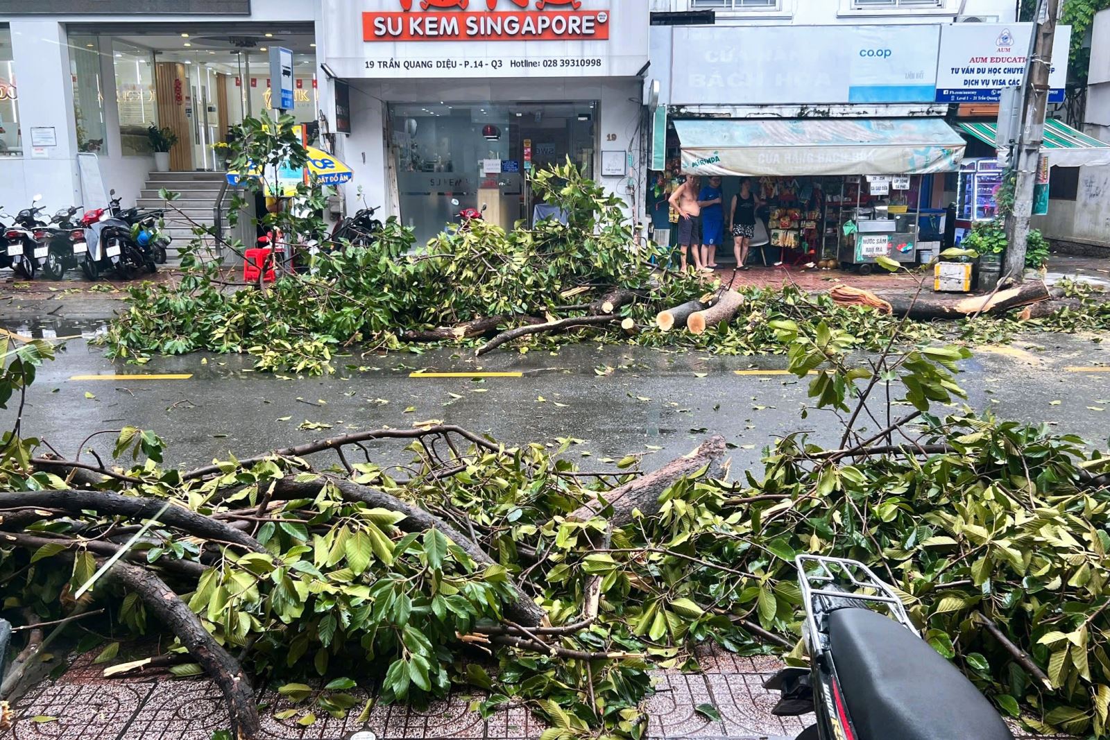 Cây xanh ở TP.HCM đổ hàng loạt do mưa lớn kèm gió giật mạnh- Ảnh 3.