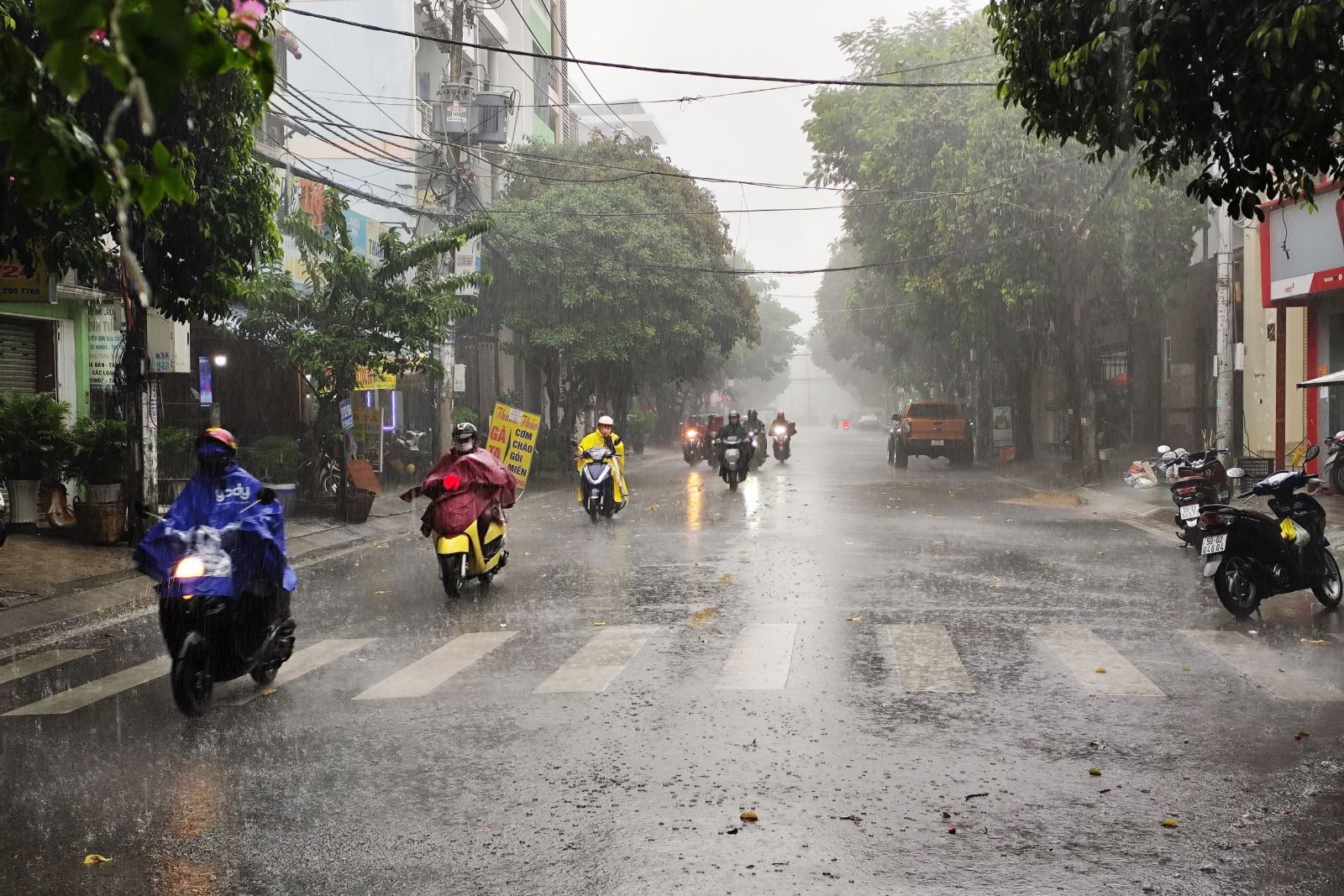 Cây xanh ở TP.HCM đổ hàng loạt do mưa lớn kèm gió giật mạnh- Ảnh 9.