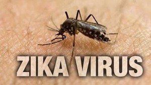 Việt Nam ghi nhận 1 ca nhiễm Zika, 3 ca tử vong do sốt xuất huyết