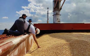 Nga tuyên bố dừng tham gia thỏa thuận xuất khẩu ngũ cốc