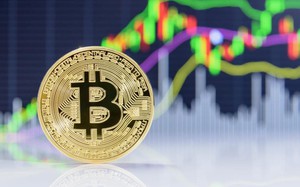 Nhà đầu tư chốt lời, Bitcoin hạ nhiệt, Dogecoin giảm 20%