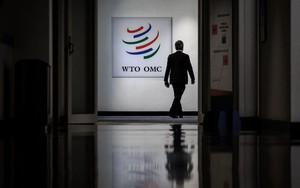 WTO cảnh báo về thương mại suy giảm, suy thoái kinh tế toàn cầu