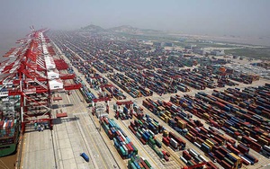 Vận chuyển hàng hóa bị tắc nghẽn nghiêm trọng do Thượng Hải bị phong tỏa