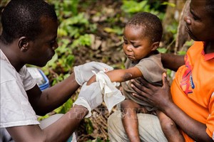 Có cần tiêm vaccine bệnh đậu mùa khỉ diện rộng?
